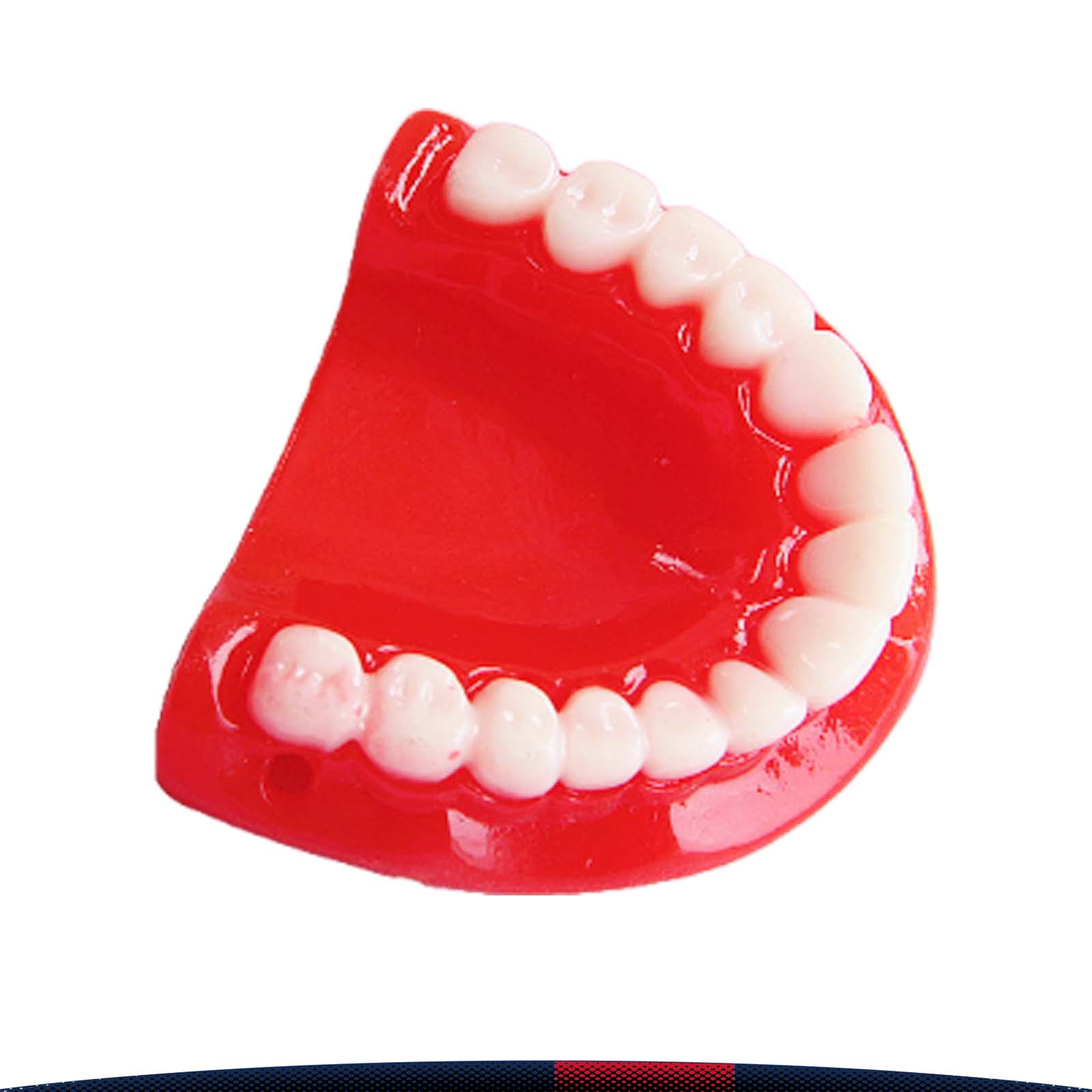 Simulated Resin Tooth Pendant 1