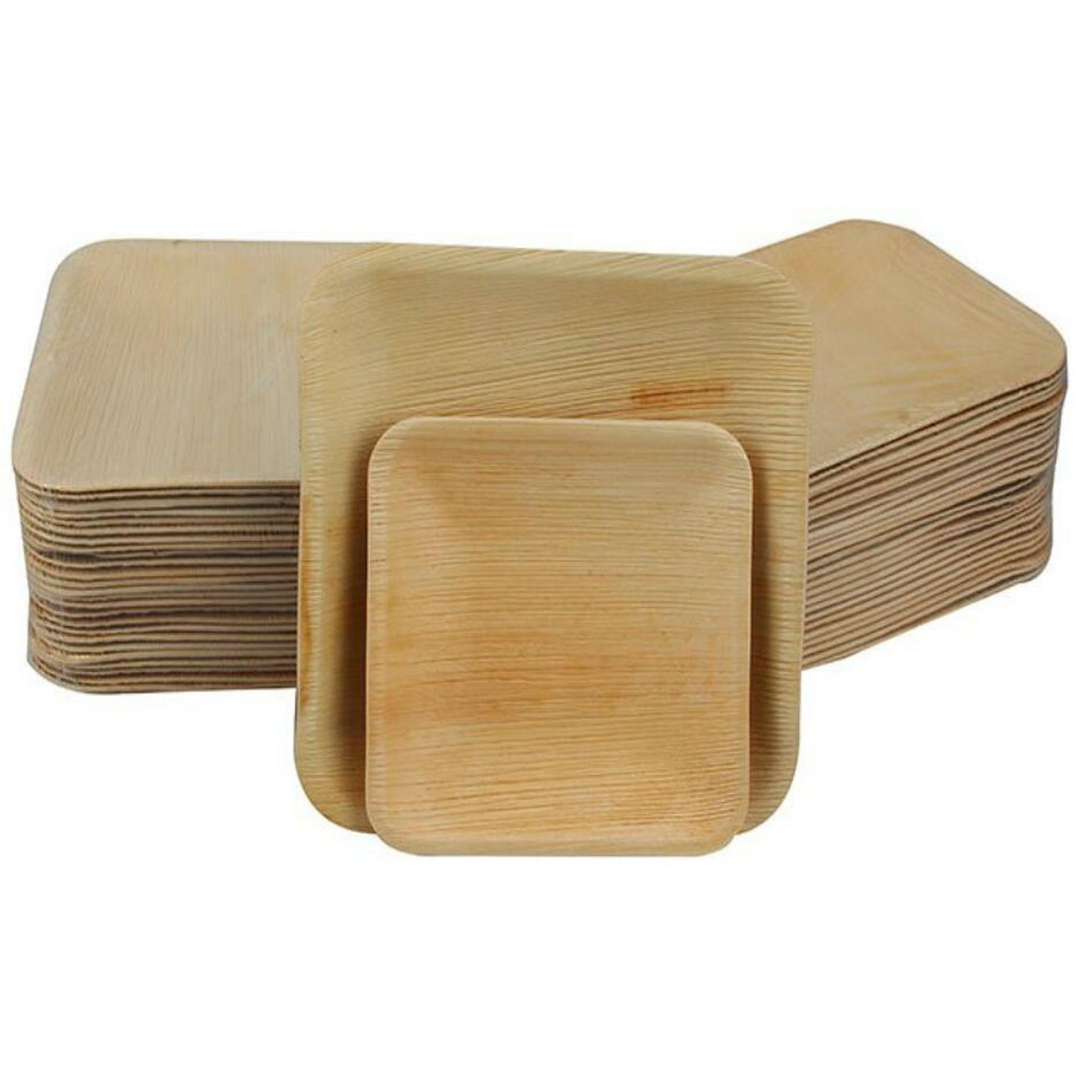 Palm Leaf Disposable Plates 2