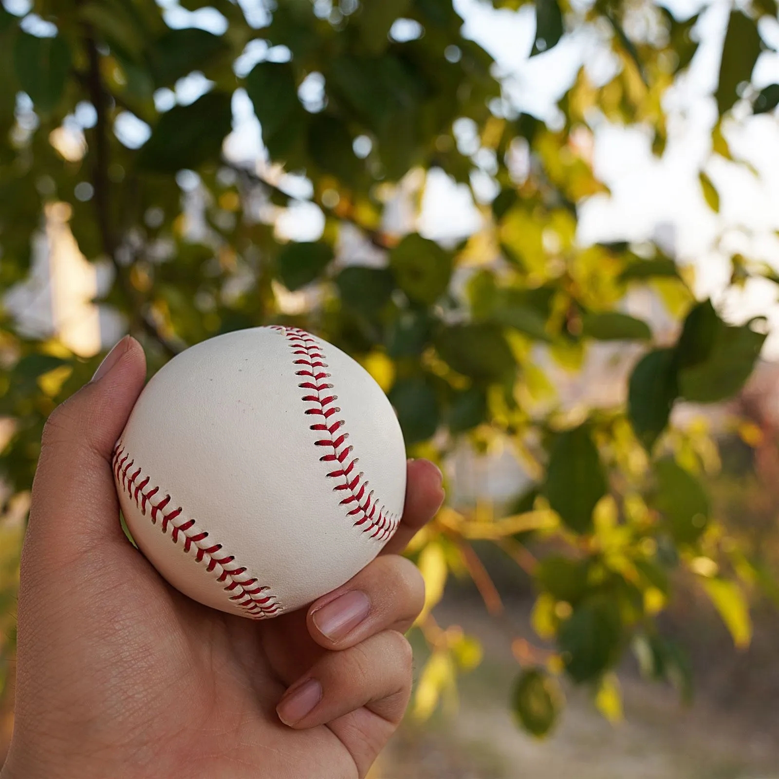 Portable Rubber Baseball 4