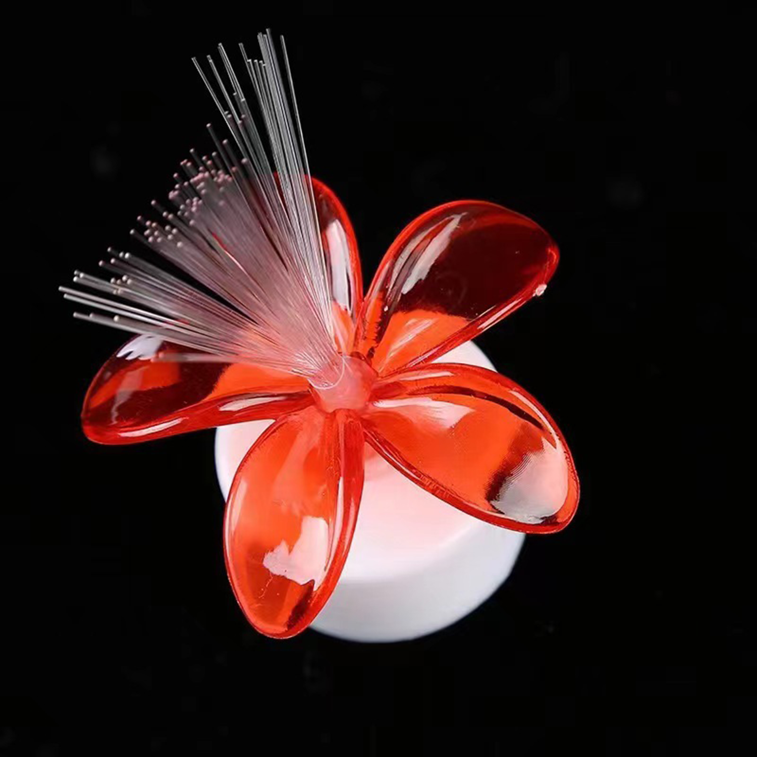 Colorful Fiber Optic LED Light 5