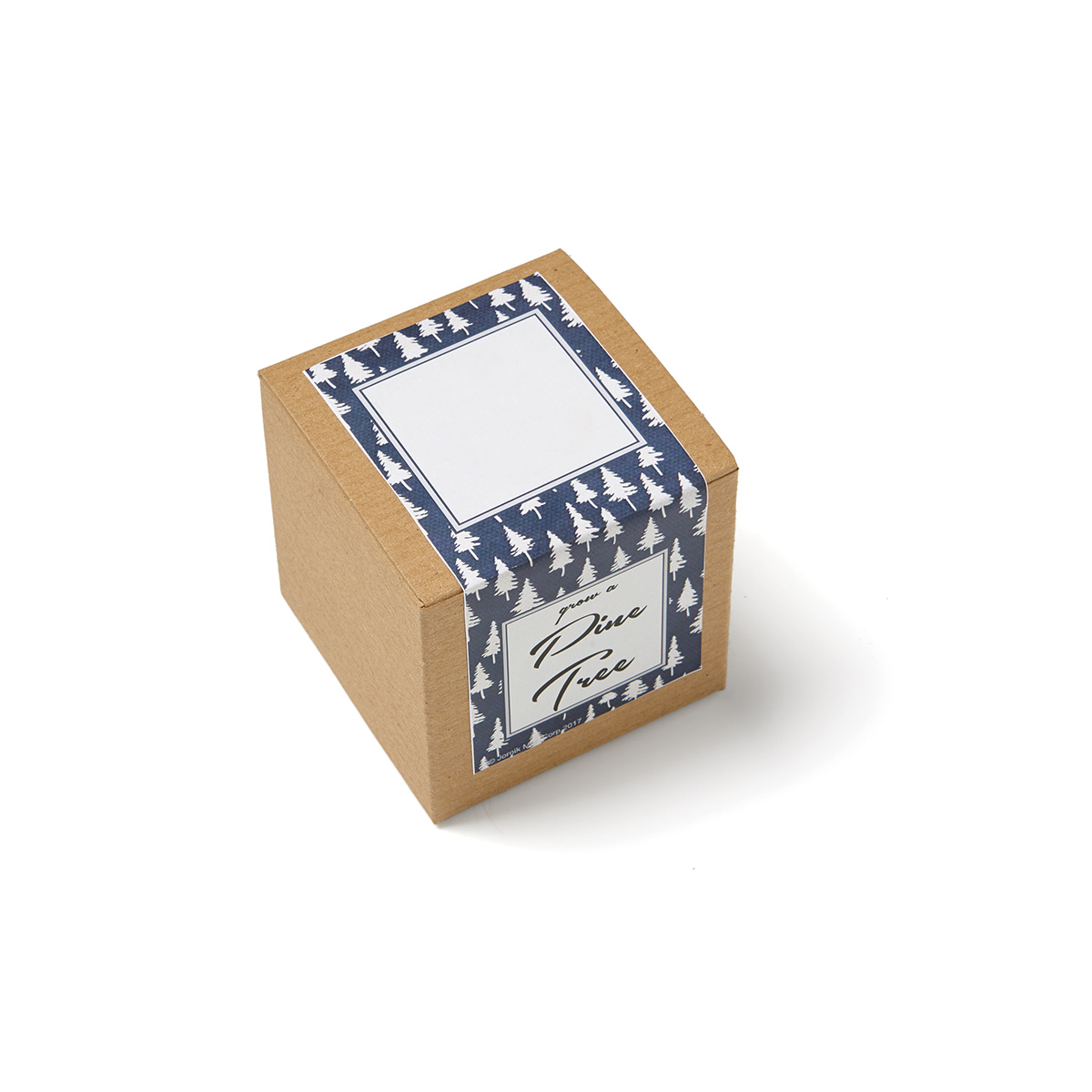 Pine Tree Growables Planter in Kraft Gift Box 2