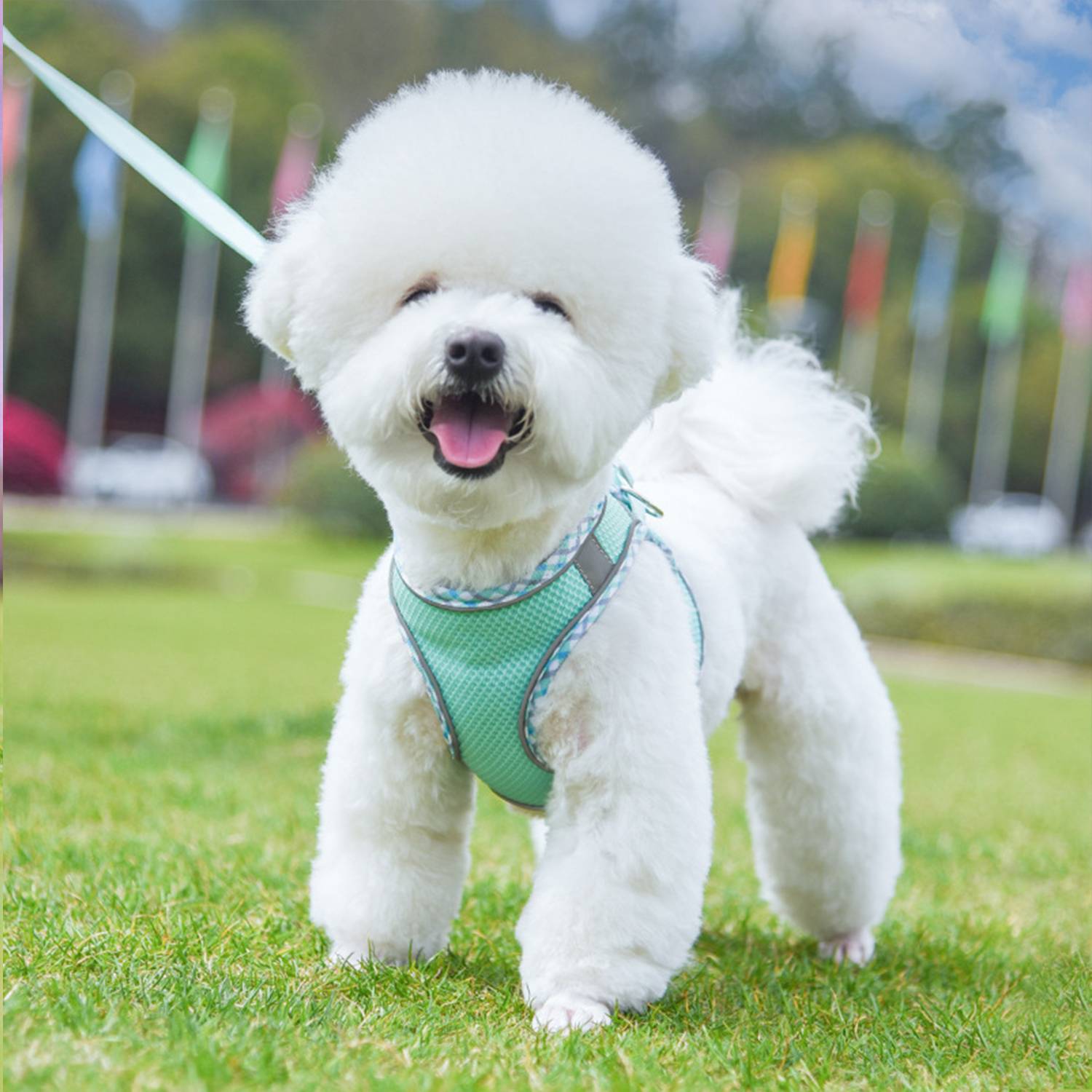 Pet Chest Harness With Reflective Plaid Hemming Dog Leash 9