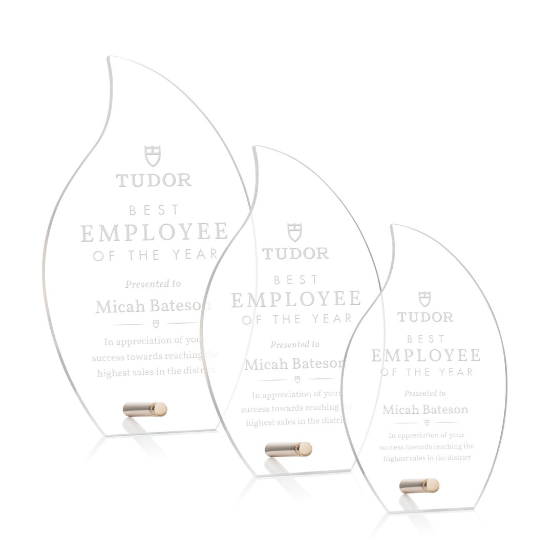 Polaris Flame Award - Gold 7