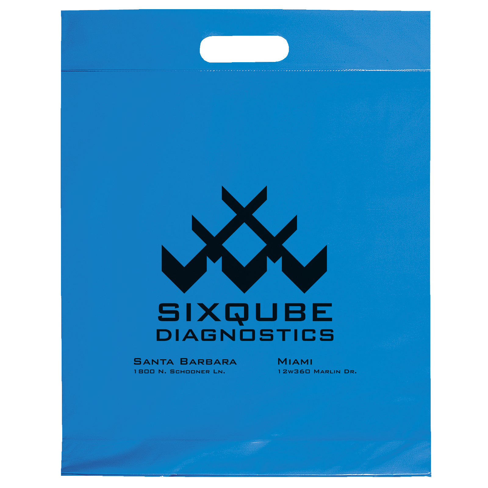 Die Cut Handle Bag - 15W x 19H x 3 - Flexo Ink Print 7