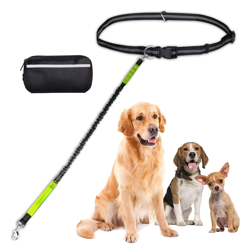 Hands Free Dog Leash for Running Walking Jogging & Hook 2