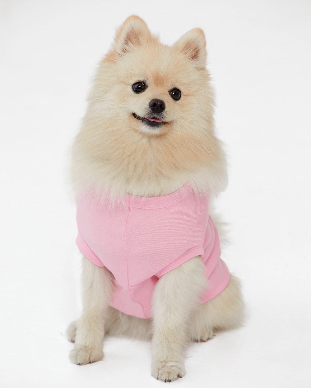 Doggie Tank - 3902 4