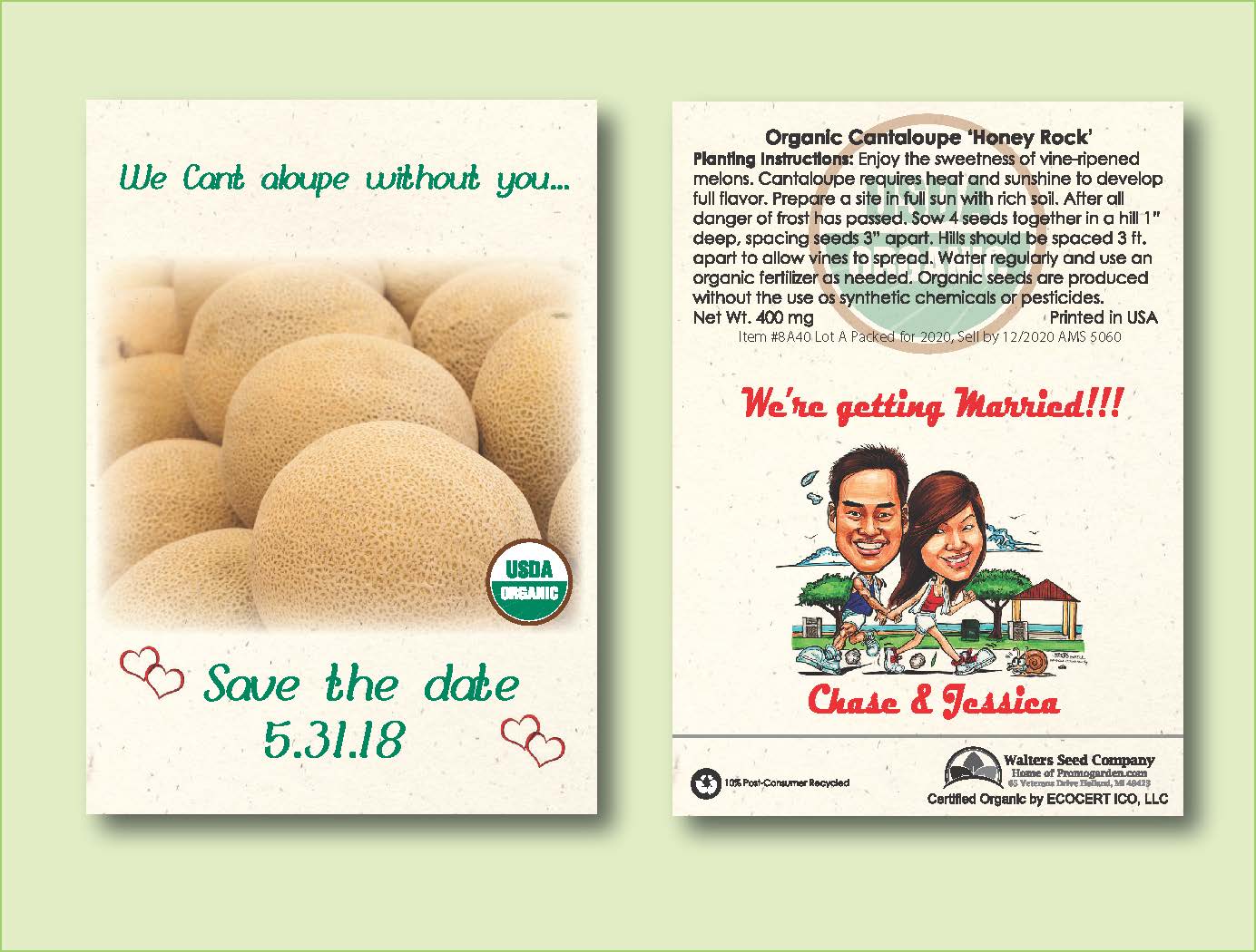 Organic Cantaloupe 'Honey Rock' Seed Packet - Standard Size 3.25" x 4.5" 2