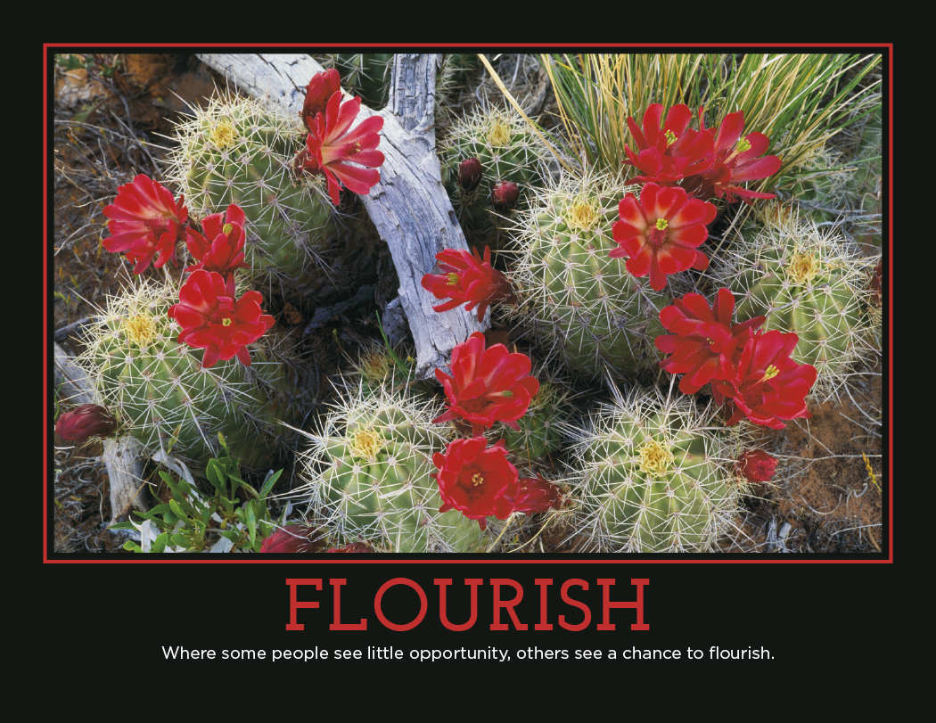 HotLine® Products Motivation Appointment Calendar (Motivational Quotes) - Stapled 13