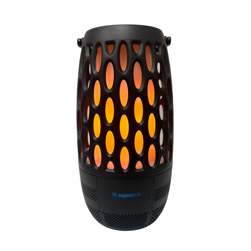 Tiki Sound Wireless Speaker 22