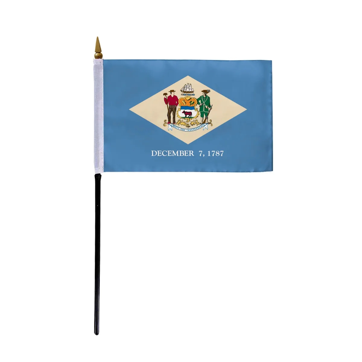 4"x6" & 12"x18'' Delaware ePoly Printed Stick Flags 1