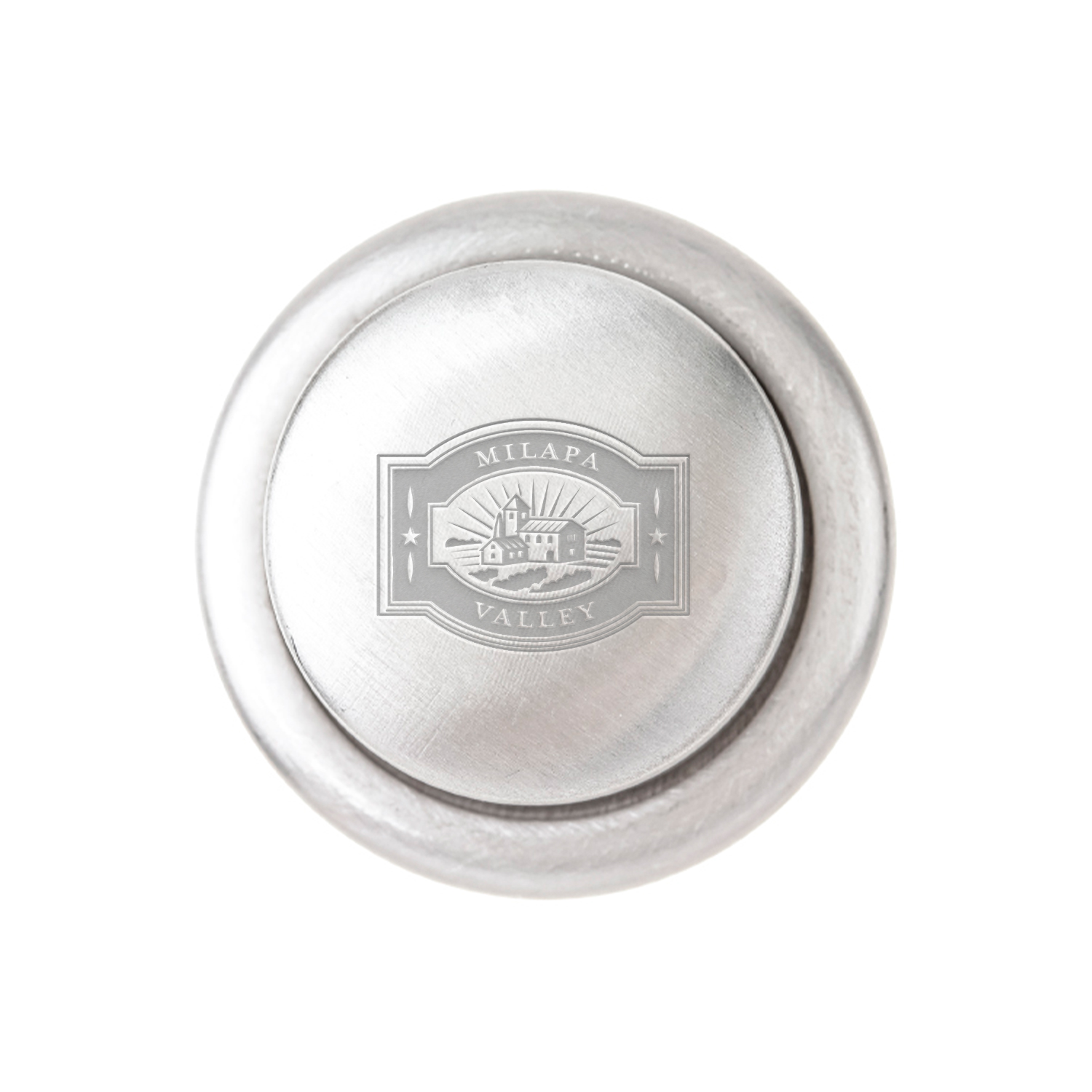 Stainless Steel Vacuum Wine Stopper 2