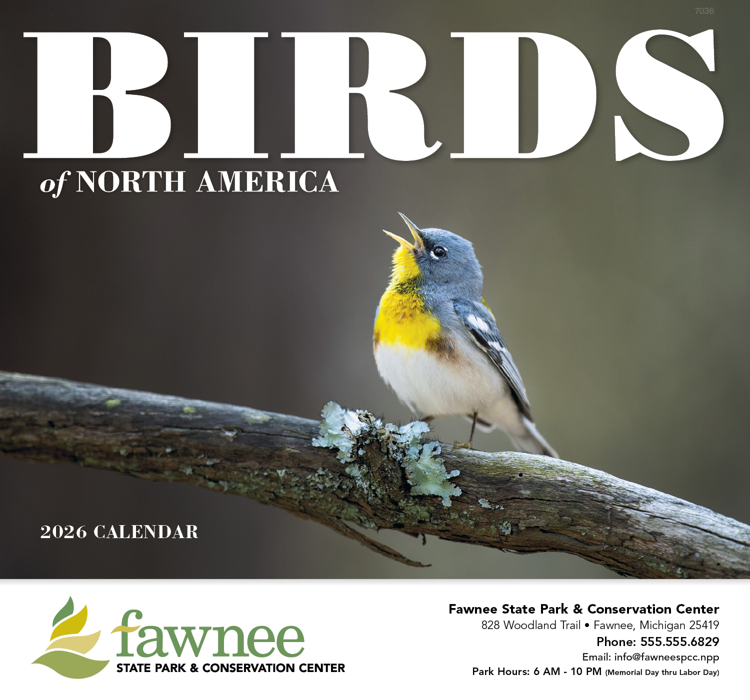 Good Value™ Birds of North America - Stapled Calendar 48