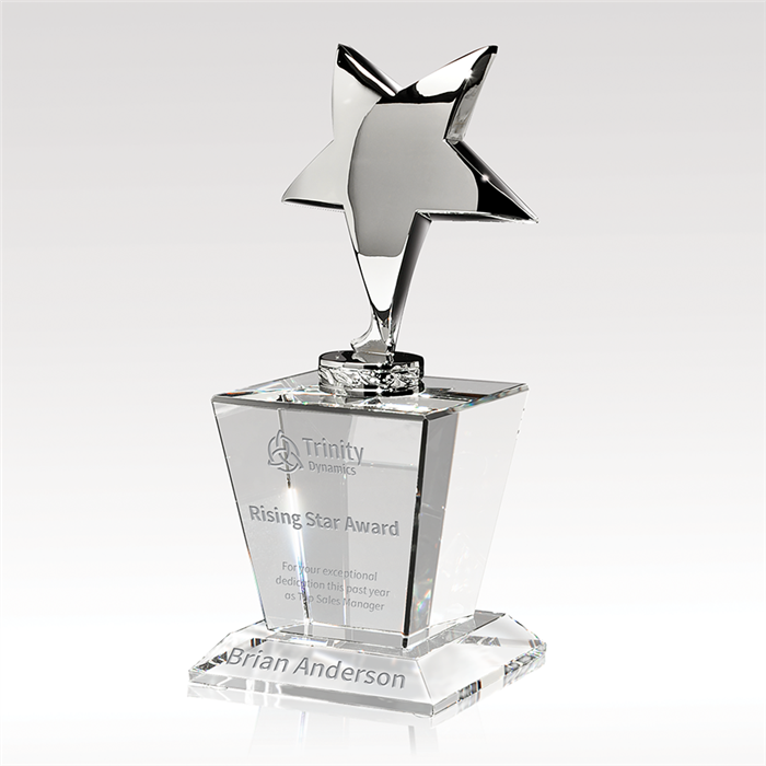 Excelsior Crystal Award