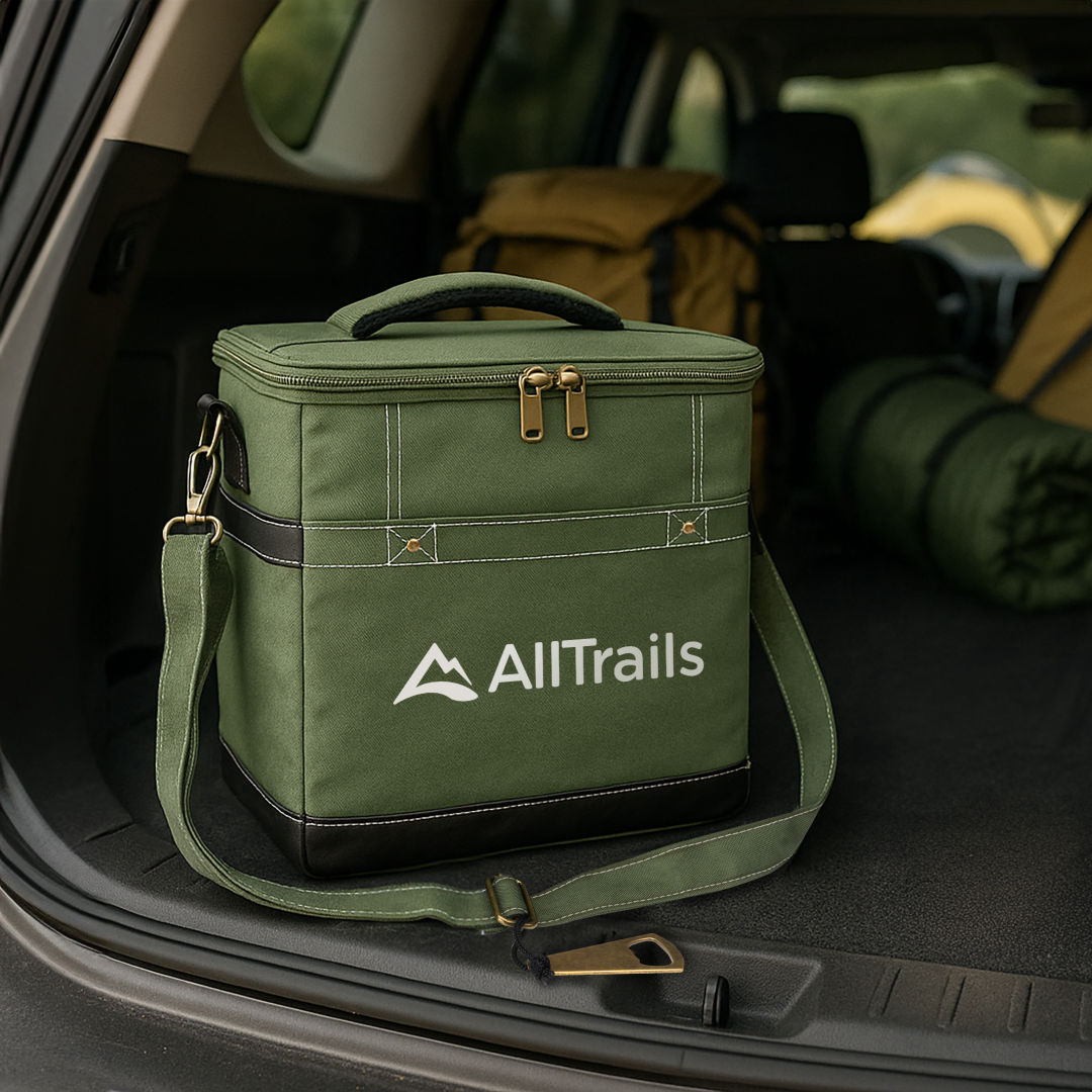 Chillmate Deluxe Cooler Bag 6
