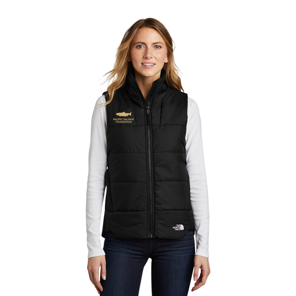 The North Face Ladies Everyday Insulated Vest 4