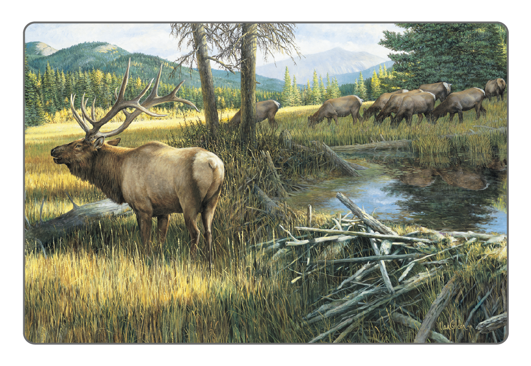 Triumph® Calendars Wildlife Art Pocket Calendar 56