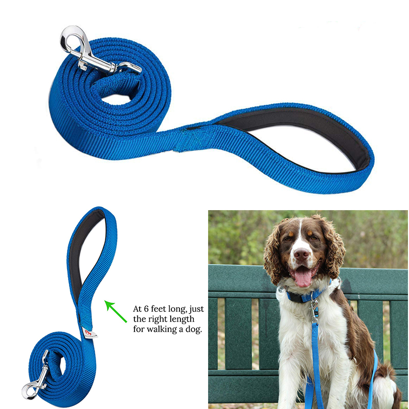 Dog Leashes 2