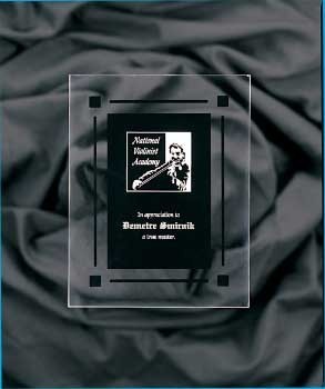 9" x 11" Solid Black Acrylic Clear-Plaq Award 2
