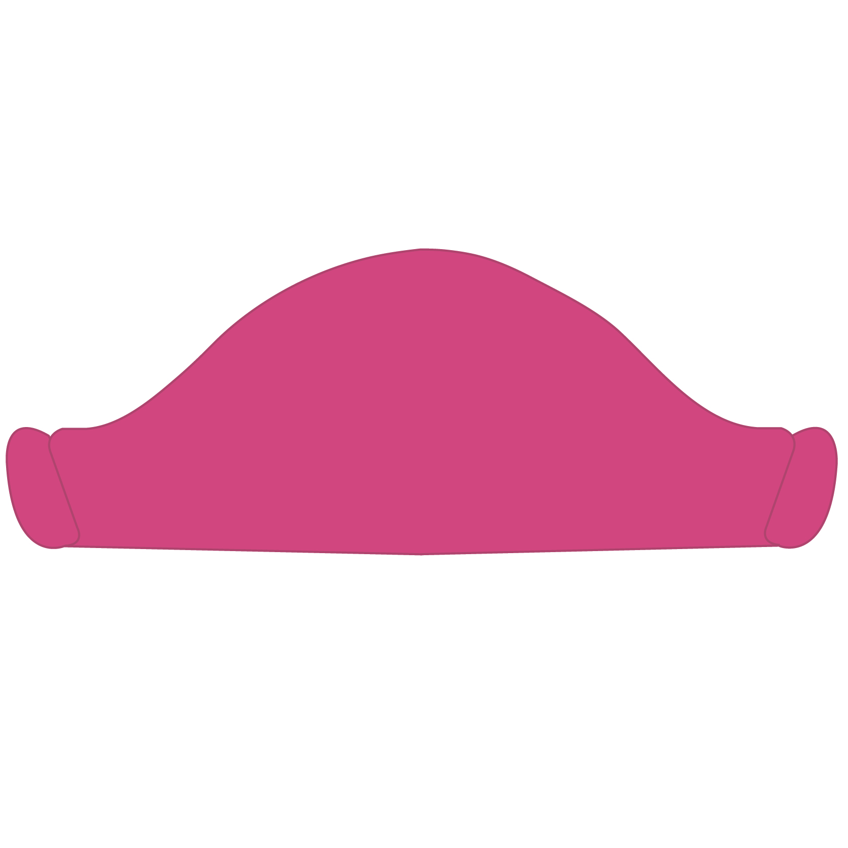 Pirate Hat 11