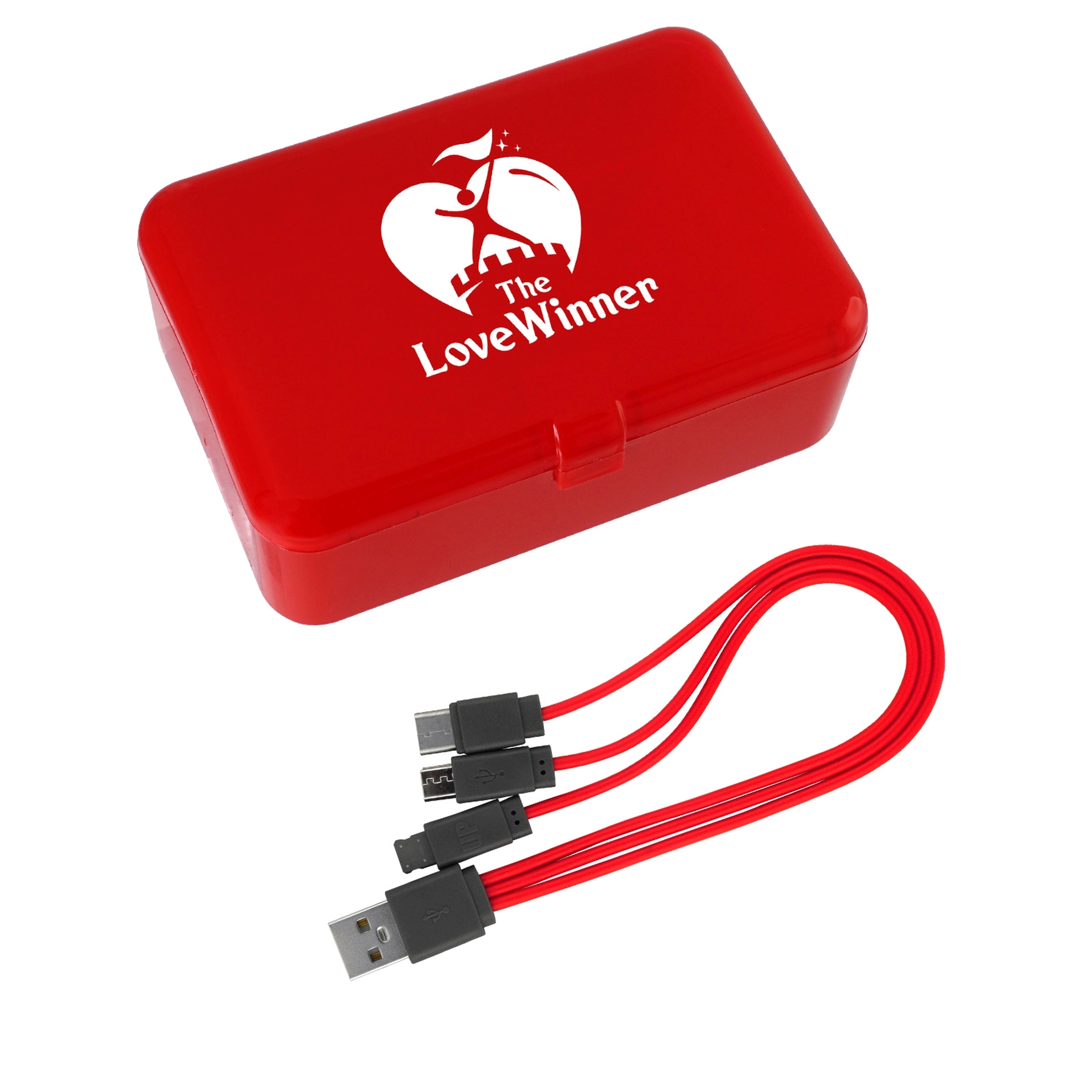 TECHIE CABLE BOX 12