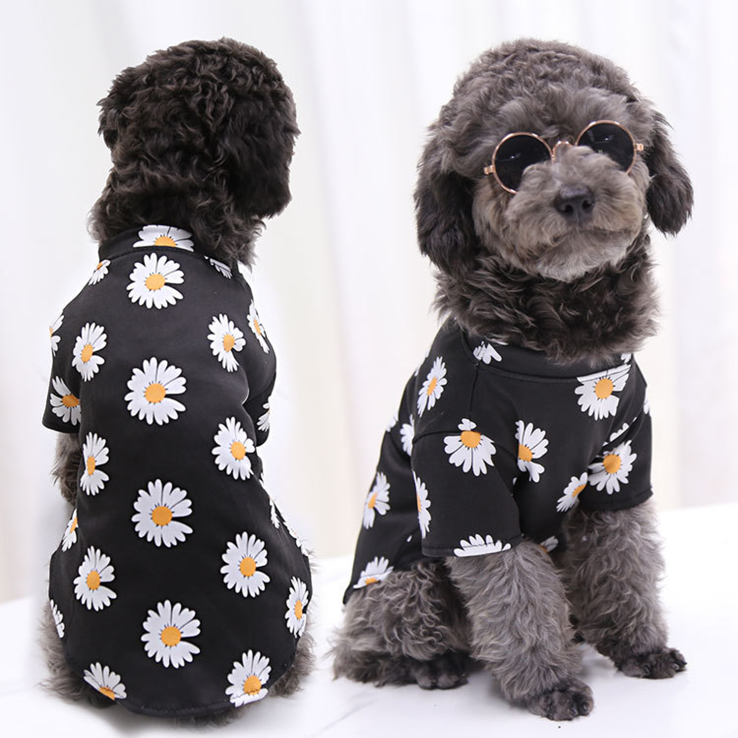 Fashion Pet Clothes 4