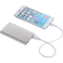 Sleek Aluminum 4000 mAh Power Bank 33