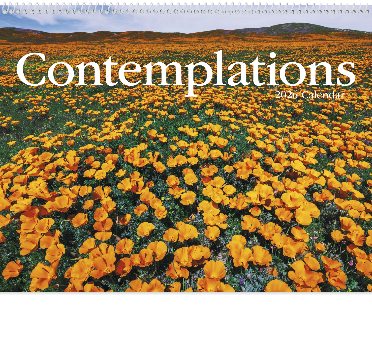 HotLine® Products Contemplations Appointment Calendar - Spiral 15