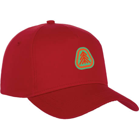 Unisex Composite Ballcap 45
