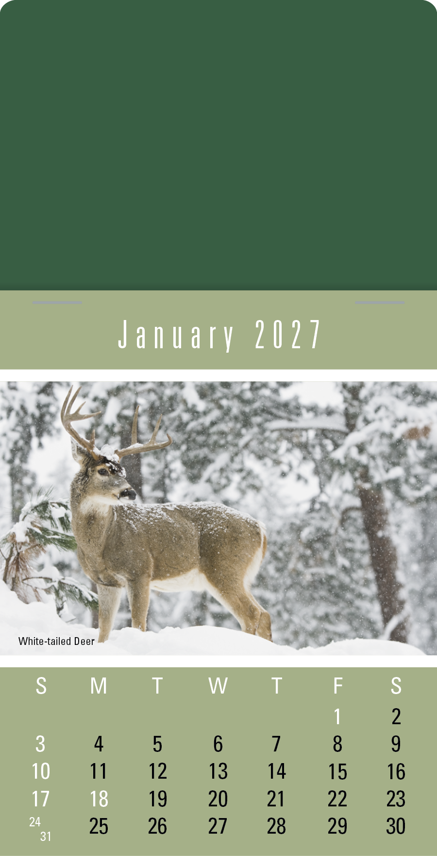 Triumph® Calendars Press-N-Stick Sportsmen Calendar 951