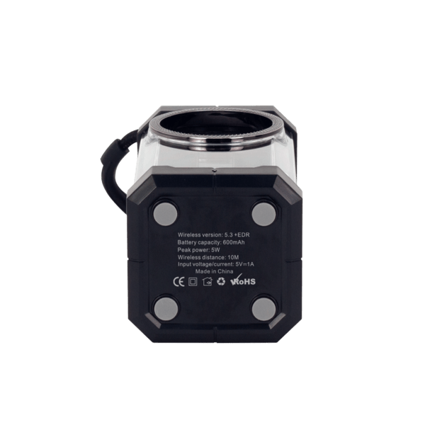 Echo Clear Body Speaker 21