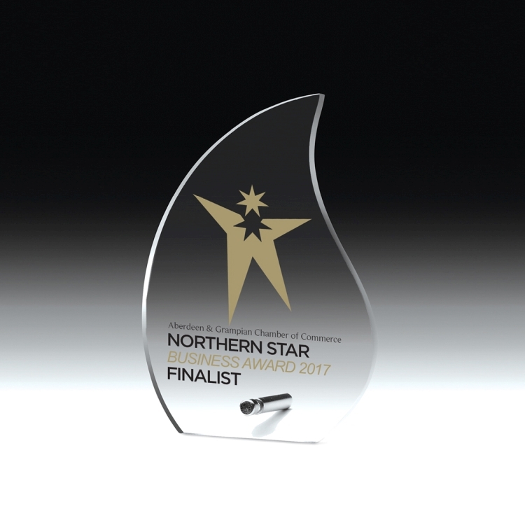 Flame Award (5 5/8" x 8" x 1/2") - Laser Engraved 4