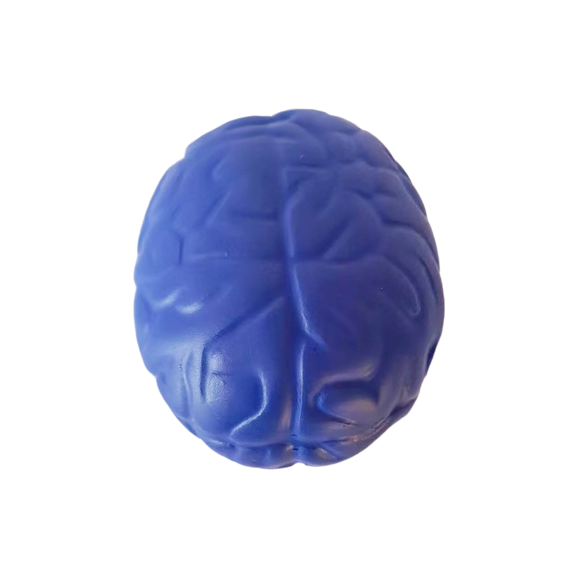 Brain Shape Foam Stress Reliever For Office And Education Use 6
