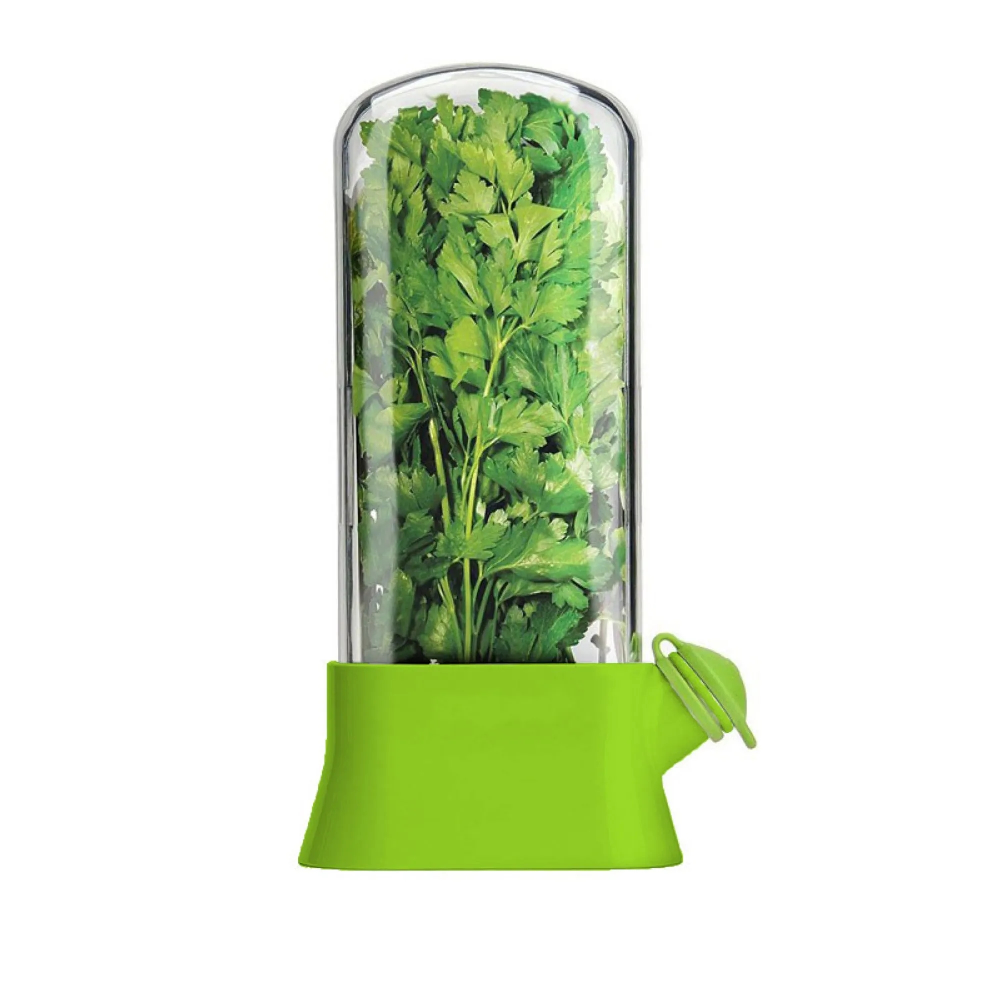 Vegetable Preservation Box 2