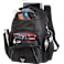 Rainier TSA 17" Computer Backpack 22