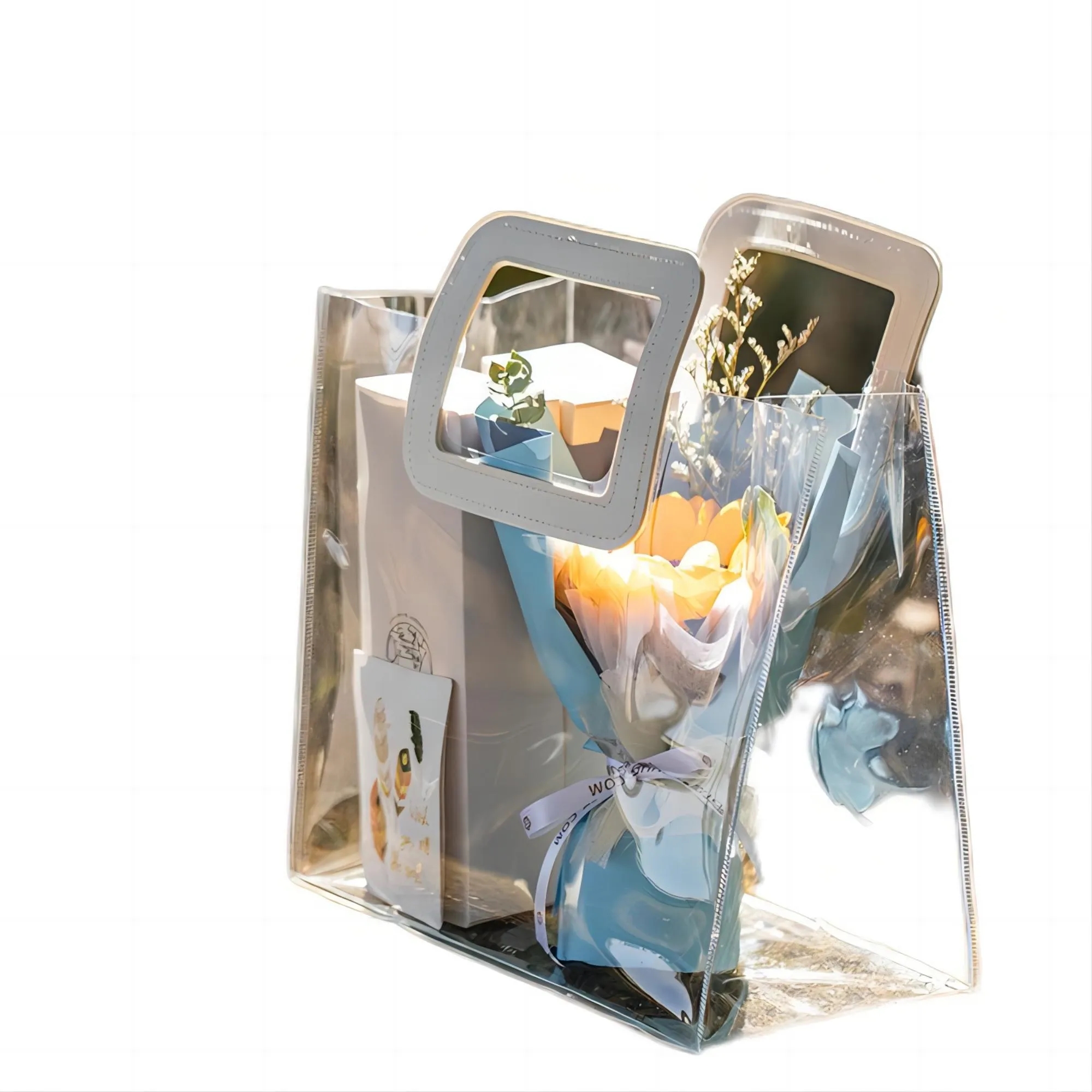 Transparent Gift Bag 3