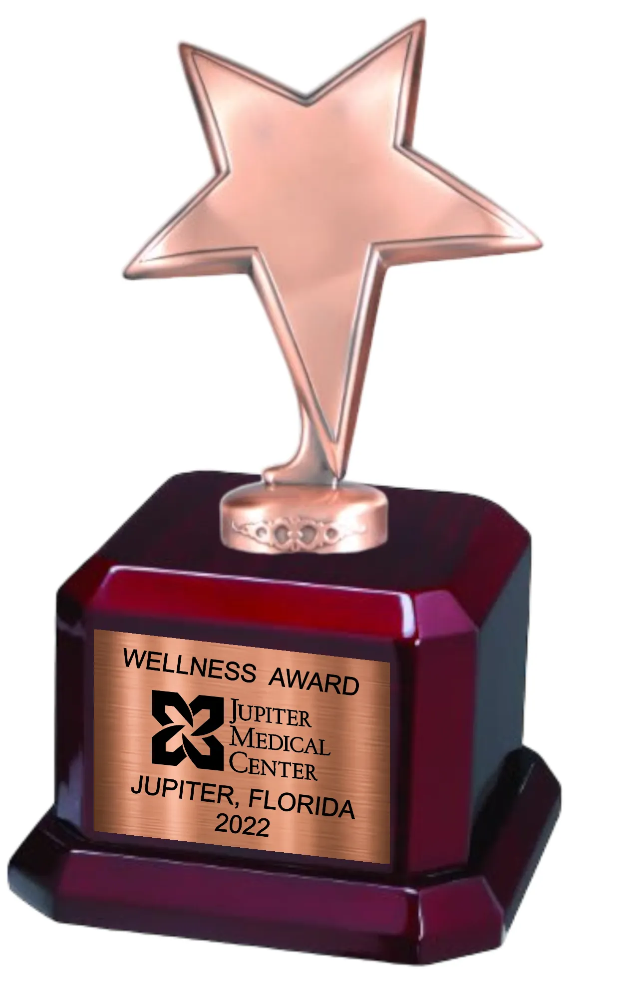 9 1/2" Star Trophy Award on Rosewood Royal Piano Finish Base 21