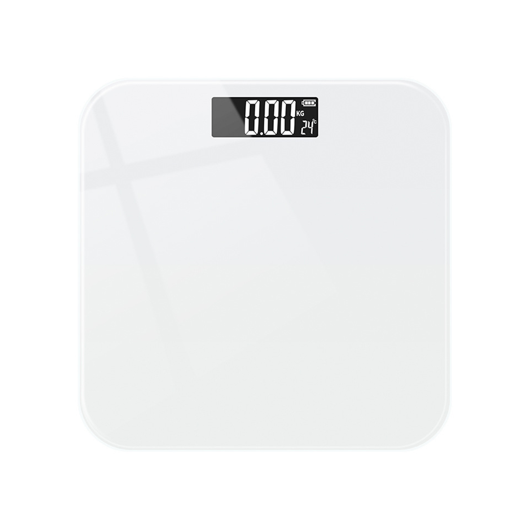 Regan Electronic Scale 2