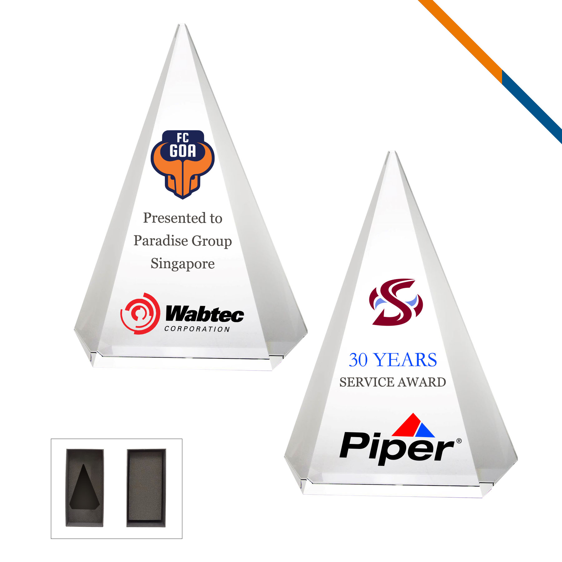 Ryla Crystal Award 3