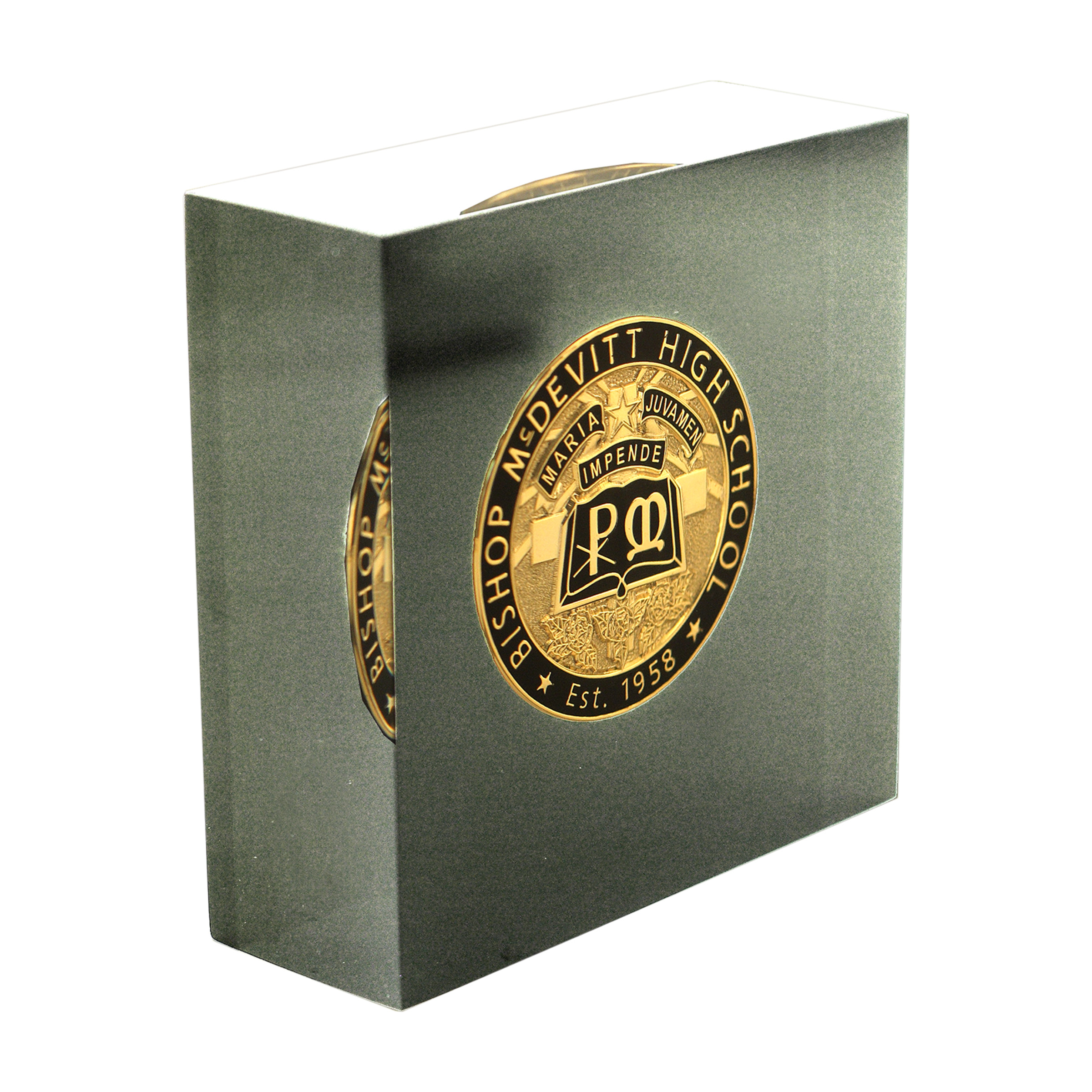 Custom Challenge Coin Acrylic Embedment 4
