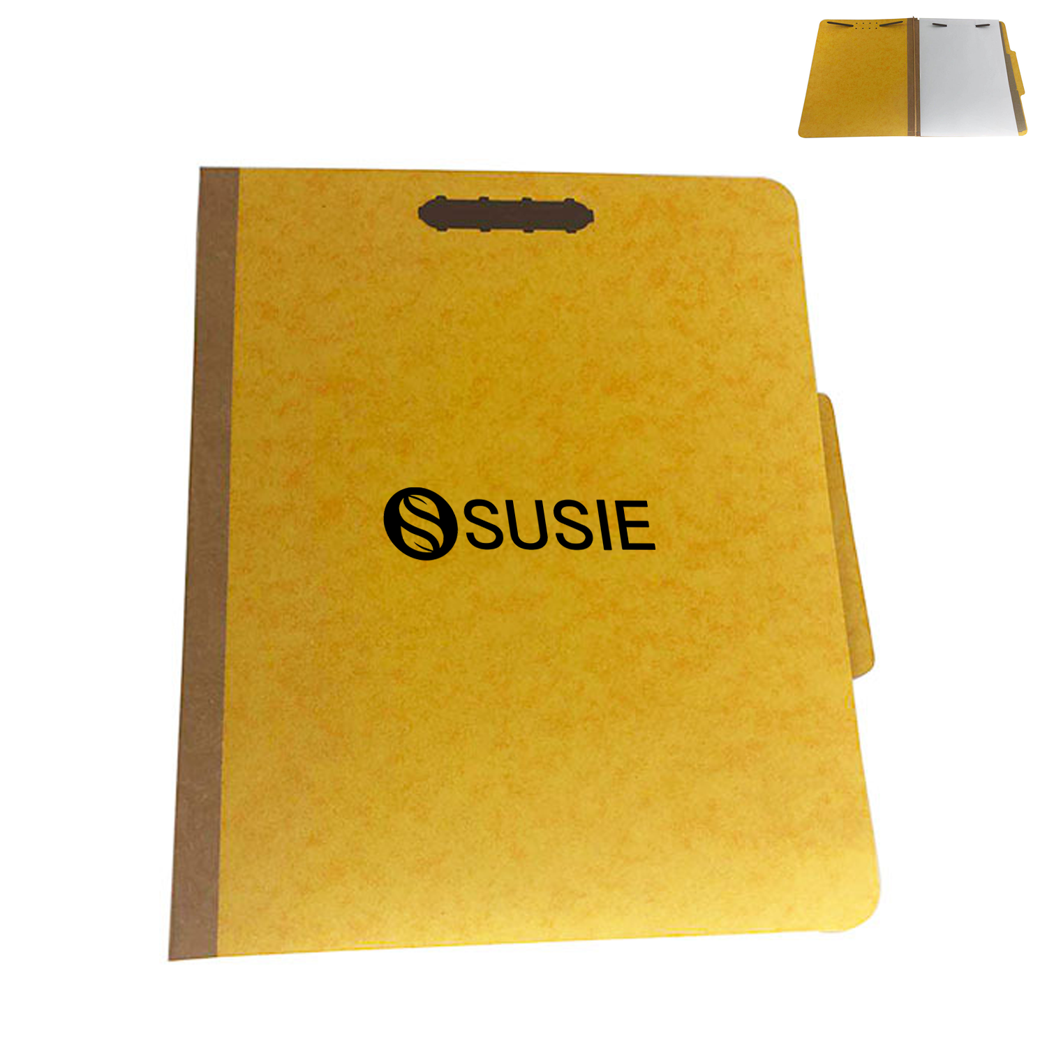 Two Divider Pressboard Classification File Folder 5