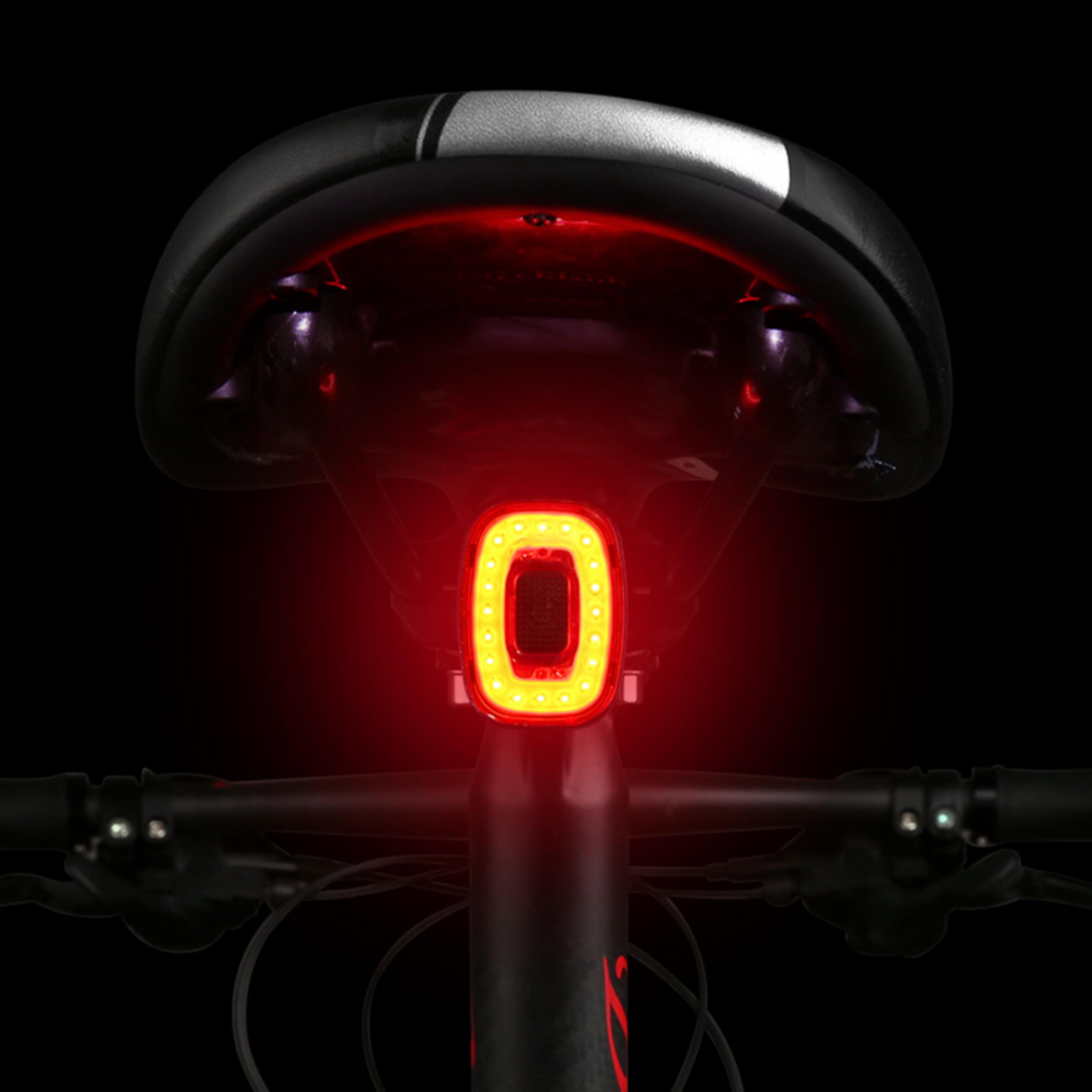 Bicycle Smart Tail Light 2