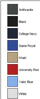 Dri-FIT Team Performance Visor