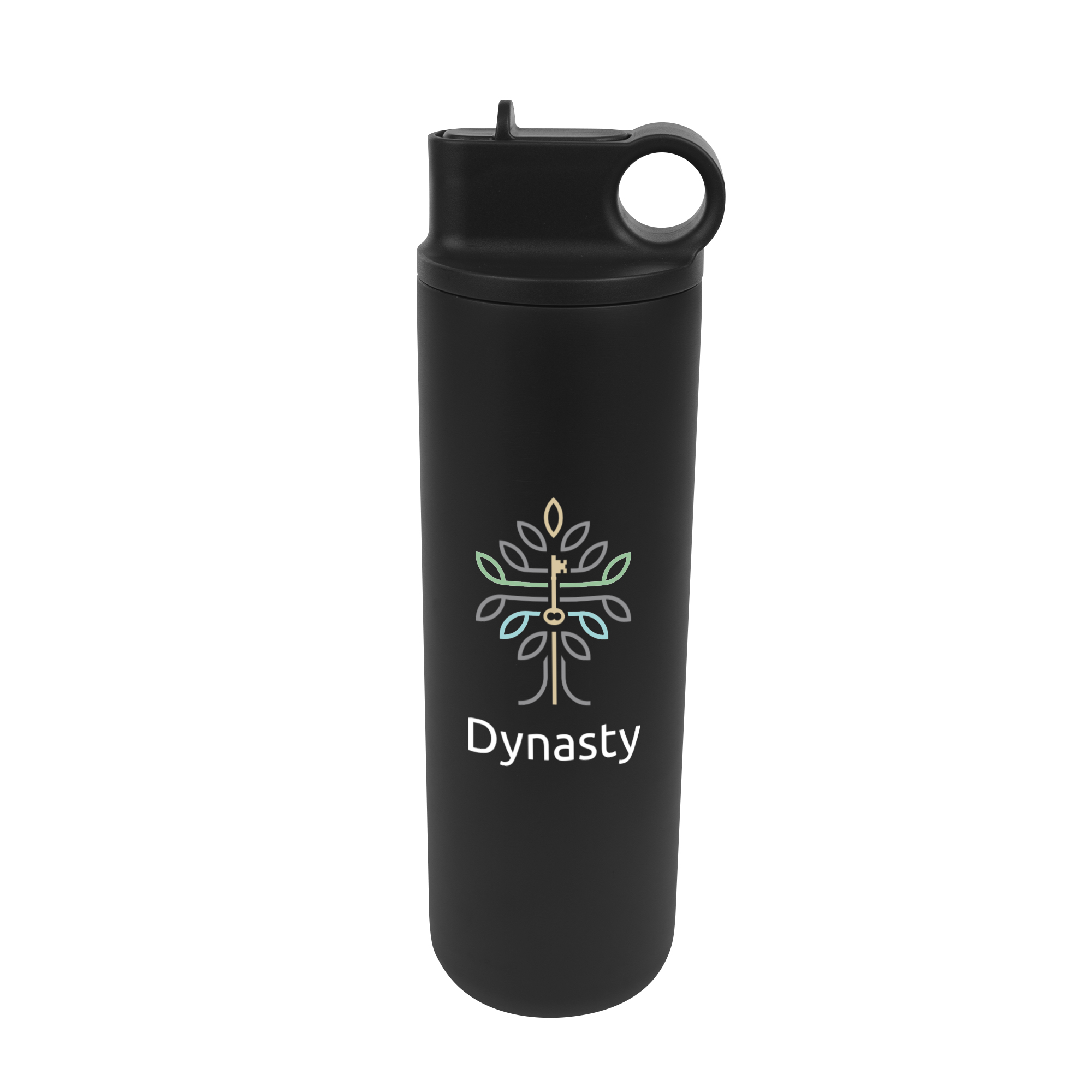 27 Oz. Roanoke Stainless Steel Bottle, custom water bottle with logo imprint 11