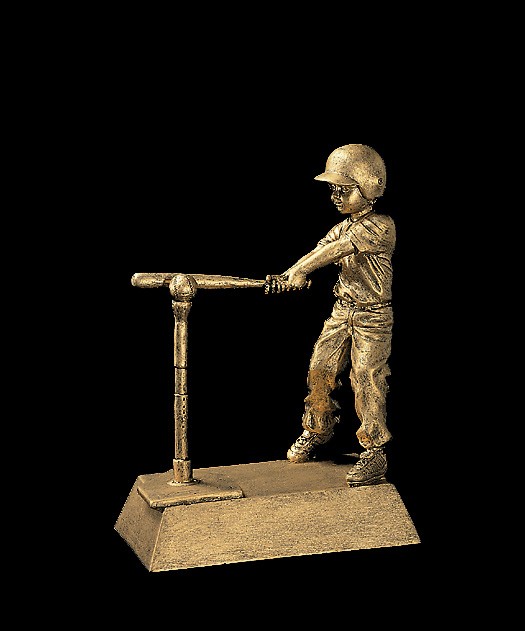 T-Ball Male Signature Series Award 2