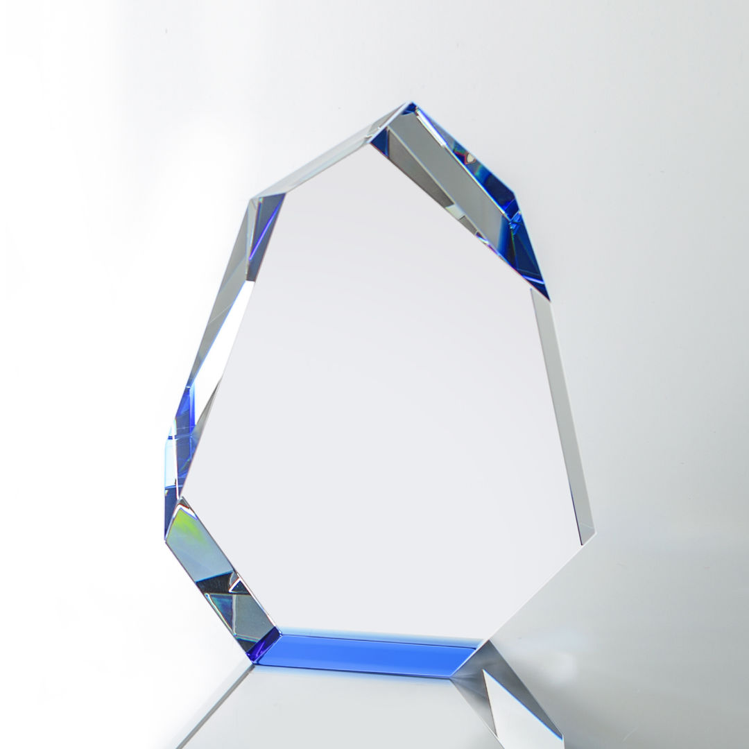 Norwood Award - Blue 4