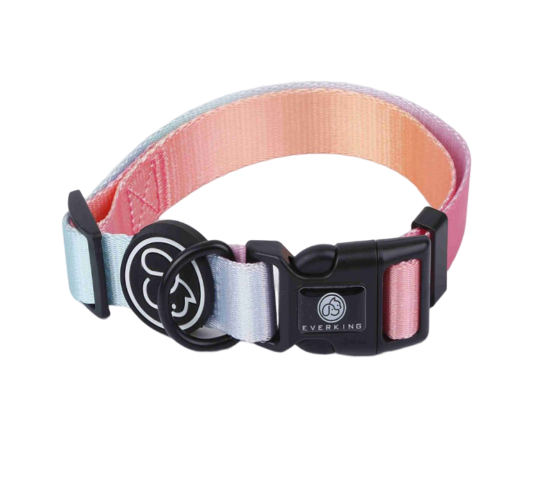 Zinc Alloy D Buckle Nylon Pet Collar - Medium 2