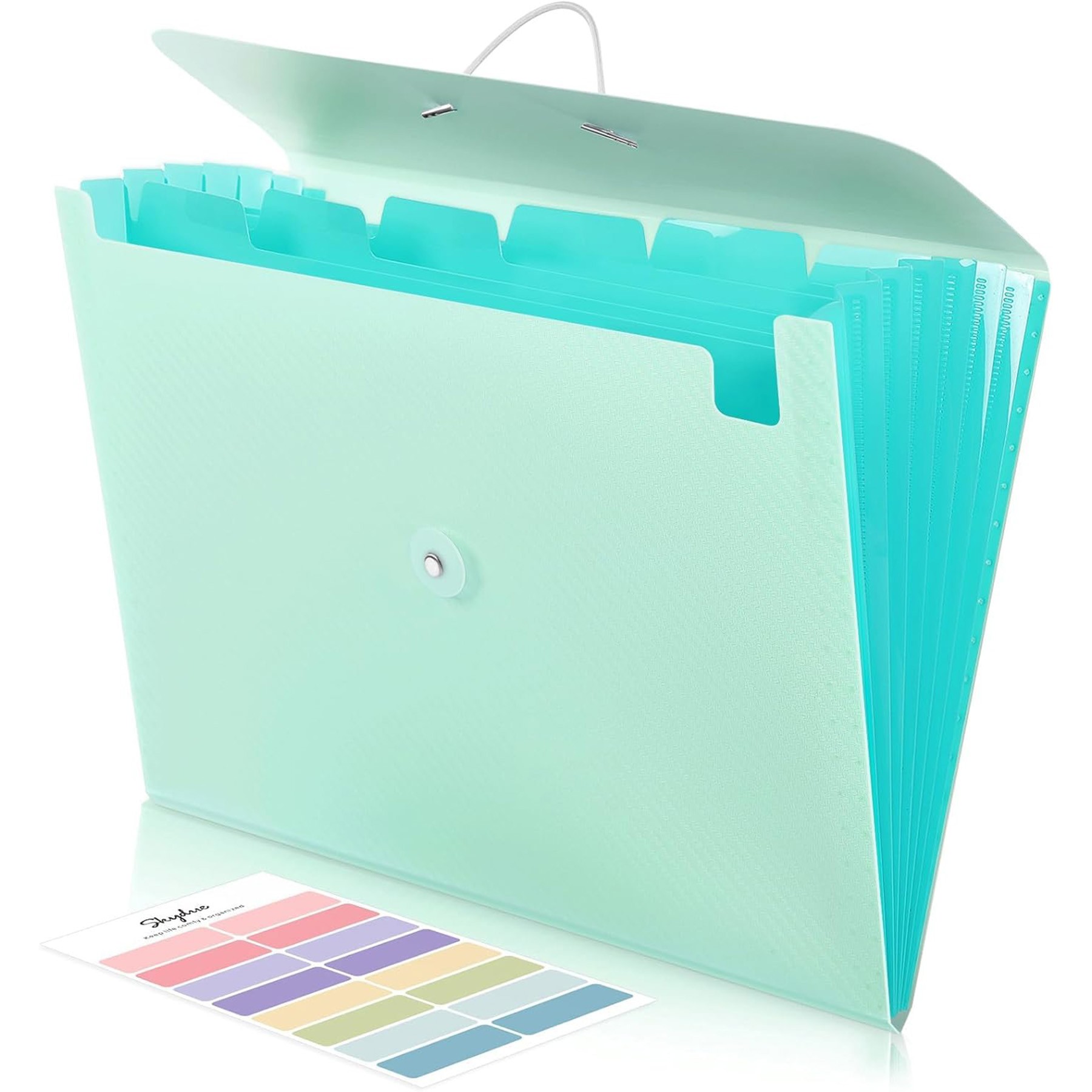 Accordion File Organizer 6