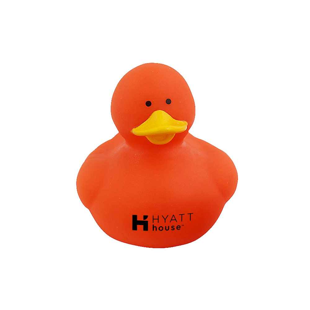 Colorful Duck 13