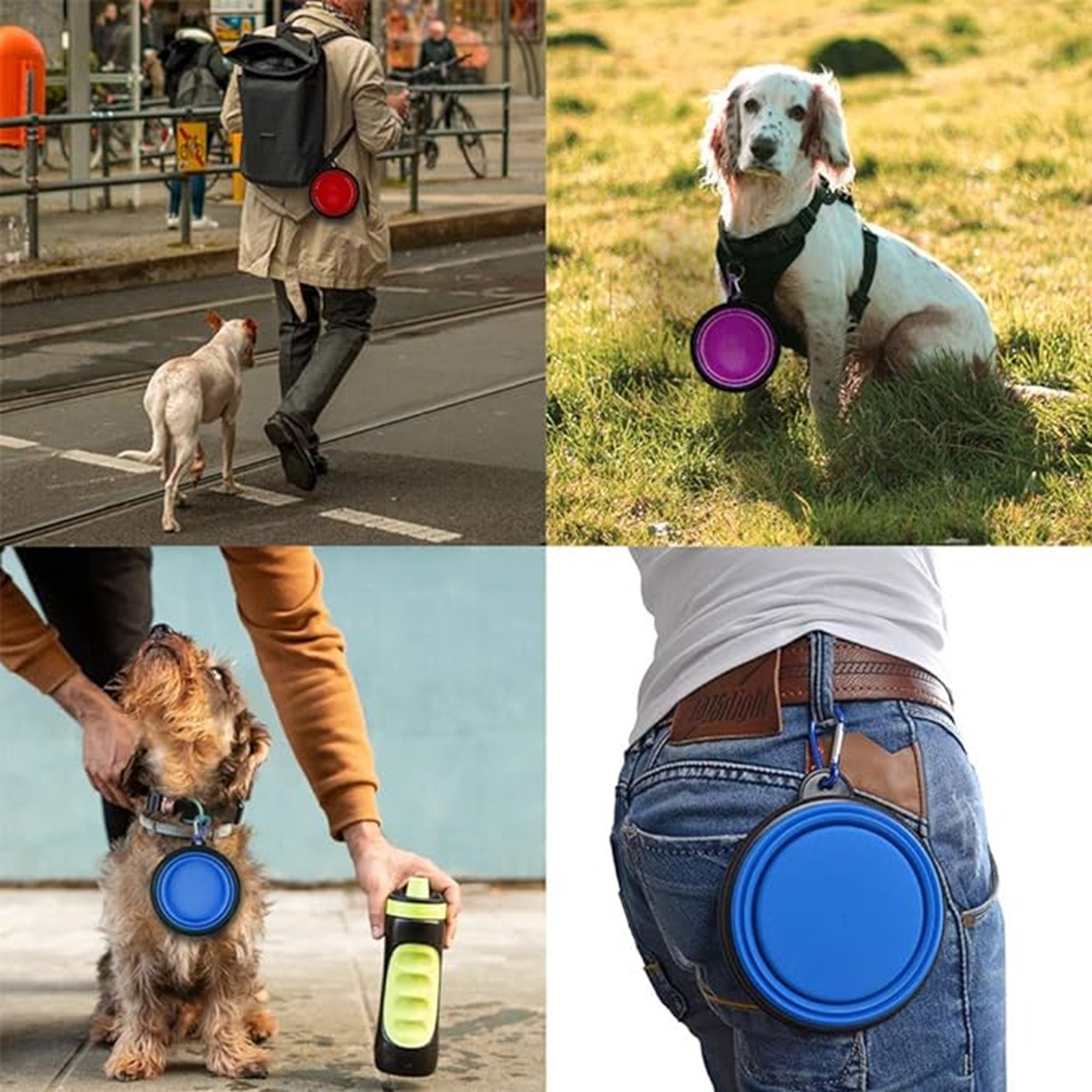 Pet Silicone Anti-Tipping Folding Bowl 6
