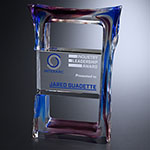 Delta Award 6